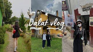 Dalat Vlog: Chuyến đi Đà Lạt quá mỹ mãn ˚୨୧⋆｡˚ ⋆ top những "lần đầu tôi thử" ở Đà Lạt