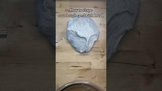 How to shape #sourdough sandwich bread #sourdoughbread #sourdoughrecipe #sourdoughstarter