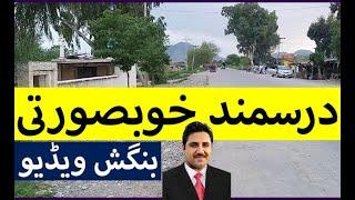 Darsamand Travel Blog -- Beauty and Greenery of Darsamand | Shah Hussain Bangash Vlog 2020