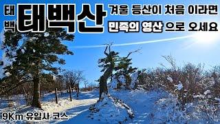 겨울 등산이 처음이라면 꼭 가야 할 산/태백산 등산코스 소개/태백산 유일사코스