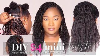  NEVER Waste Money Again! DIY $4 Mini twists with X-Pression Hair