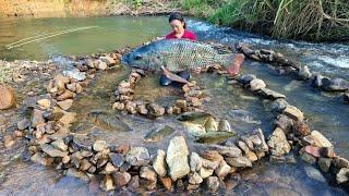 Encounter giant schools of fish blocking the water, catch fish and bring them to the market to sell