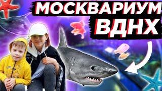 Москвариум на ВДНХ/ Nice kids влог