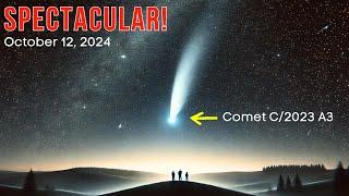 LOOK UP! Annular Solar Eclipse, Comet C/2023 A3 And Orionid Meteor Shower On October 2024 Sky