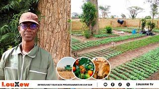 l’agroécologie au sénégal Malick Sow expert passionné donne des solutions pour faire face à ...