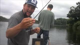 Instinct Anglers - Episode 1