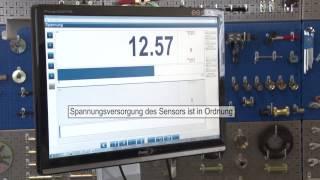 Fehler in der Bremsenelektronik beheben Fahrzeug Diagnose PKW