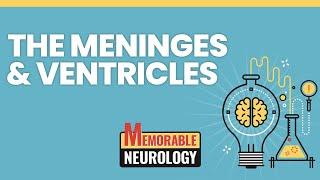 Meninges and Ventricular System Mnemonics (Memorable Neurology Lecture 12)