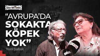 Vatandaşa sorduk: Sokak köpekleri toplatılmalı mı?