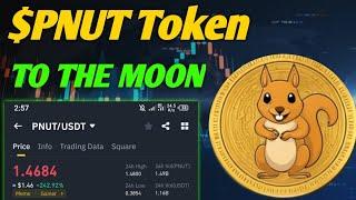 Is Pnut Token the Next Big Crypto? Price, Market Cap & Investment Guide!"