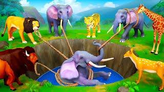 Epic Elephant Rescue: Farm Animals Heroic Adventure | Elephant Rescue Videos