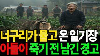 텃밭을 뒤지던 너구리, 내 아들의 잃어버린 일기장을 물고 왔다”