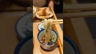 Chilled Dipping Udon - Perfect Dish for the Hot Summer Days  #rianekj #japanesefood #foodie