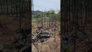 낙찰 받고 전부 이거 합니다 #shorts