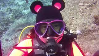 TEAM  DIVE HOLIC 다이브홀릭 스쿠버 다이빙투어 사이판다이빙 3일차