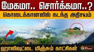 கொடைக்கானலில் நடந்த அதிசயம்! ஹாலிவுட்டை மிஞ்சும் காட்சிகள்.. மேகமா.. சொர்க்கமா..? | Kodaikanal | PTD