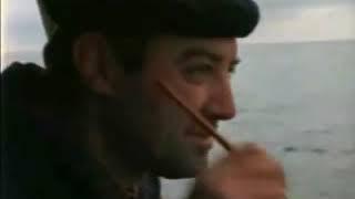 The White Ships
