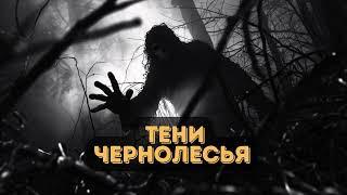 Захватывающая фантастика: Тени чернолесья |  #аудиокниги | #звуковыекниги | #фантастика | #аудио