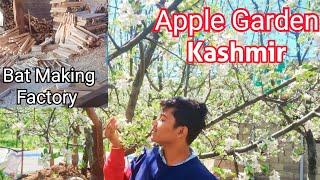 Pahalgam to Srinagar | Apple Garden | Kashmir Willow Bat Making Factory | Dal Lake | Dry Fruits