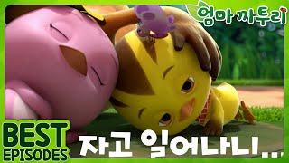 [엄마까투리 Best] 자고 일어나니… | 엄마 까투리 | 까투리 | Katuri | 베스트 에피소드 모음 제95화