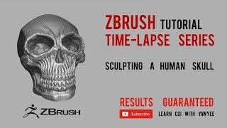 Zbrush for Beginners Tutorial - Sculpting Workflow for Skull