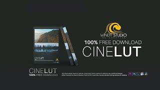 Free Cinematic LUTs from Hollywood Films