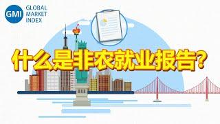 金融知识百科 - 什么是非农就业指数？What is NFP Report?