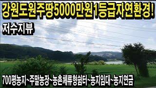 강원도땅 원주땅700평농지 5000만원 저수지뷰 친환경땅 일조량좋은땅 투자수익가능 나만의텃밭 주말농장 농촌체류형쉼터 전원주택 편안한전원생활 농지연금 농지임대 스마트팜 경매땅공매땅