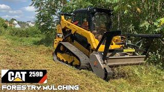 Forestry Mulching with a CAT 259D | FAE 150 Mulcher