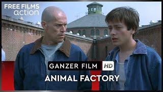 Animal Factory – mit Willem Dafoe und Danny Trejo, ganzer Film auf Deutsch kostenlos schauen in HD