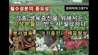 농작물 재배 -영양공급 중 미량요소 공급이 중요한 이유는?