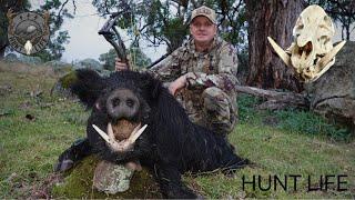 One of my best boars to date. (And a sow with the biggest teeth I’ve seen)