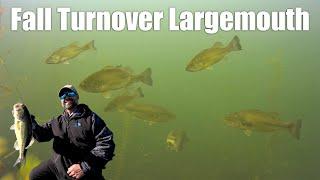 Fall Largemouth Bass (Turnover!)