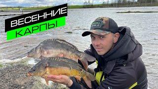 ЛОВЛЯ КАРПА НА ФИДЕР / СЕКРЕТЫ ЛОВЛИ КАРПА / FROS FISHING