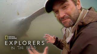 Hungry Hunters | Explorers in the Field