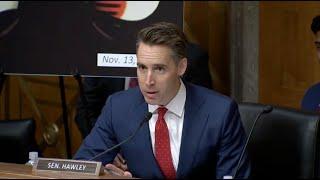 Hawley Blasts McKinsey’s CCP Ties, Rebukes Witness For Comparing Consulting Firms & Soybean Farmers