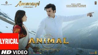 ANIMAL: Ammayi (Lyrical Video) | Ranbir Kapoor,Rashmika M | Raghav, Pritam Anantha | Sandeep Reddy V