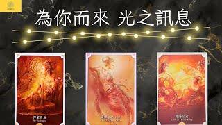 【占卜】宇宙給你的即時訊息｜無時間限制｜雷諾曼卡｜塔羅牌｜EP166