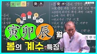 [중급] 259강 인묘진월 봄의 계수 특징