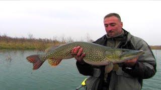 Pecanje štuke u Švedskoj - Vestervik II deo | Fishing big pike in Sweden