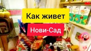 Как живет ночной Нови-Сад, прогулка