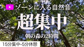 【ポモドーロタイマー 15分集中 5分休憩】森の音の勉強用タイマー