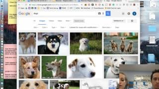 Safe Image Search