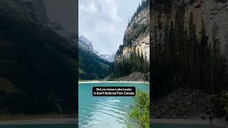 Lake Louise Canada Unique Fact #shorts #shortsvideo #lakelouise #canada