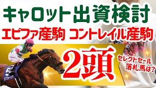 【競馬】【一口馬主】キャロットクラブ募集馬2024！良血馬、セレクトセール落札馬、気になる馬！