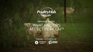 Episode 3 - What factors affect peak lay?