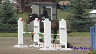 276S Lisa Eppley on Patos SR Training Show Jumping Rebecca Farm July 2024