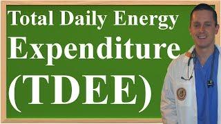 Total Daily Energy Expenditure (TDEE) Explained