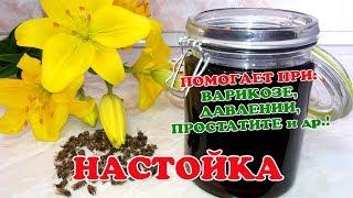 Лечение Давления, Варикоза, Простатита. Настойка на все случаи!