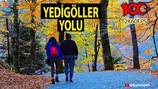 Yedigöller Yolu 2023 Süper Manzaralı yol | Hamzabeyli Yaylası Yedigöller arası 2K60FPS #yedigöller